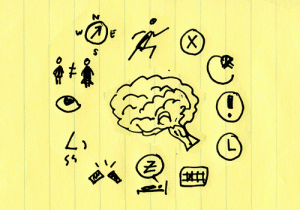 Las 12 reglas del cerebro: Brain rules