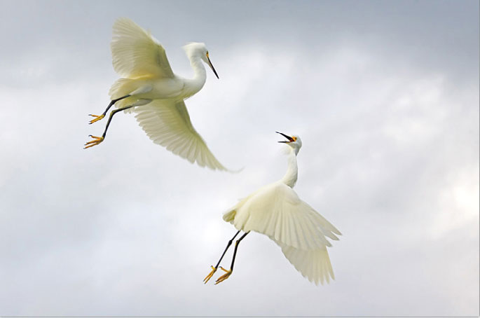 best_photography_28.jpg