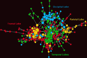 Neuro-tweets: #hashtagueando el cerebro
