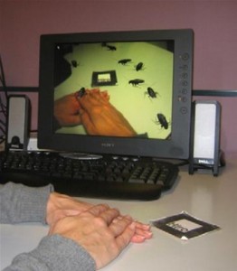 hands1