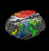 inteligencia-cognitiva