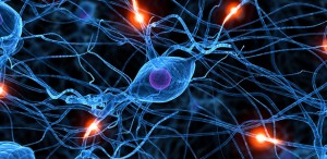 Neuroaprendizaje, nuevas pistas
