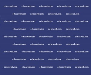 Entrevista TIC y educación para Educaweb
