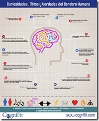 14 curiosidades sobre el cerebro humano (infografía)